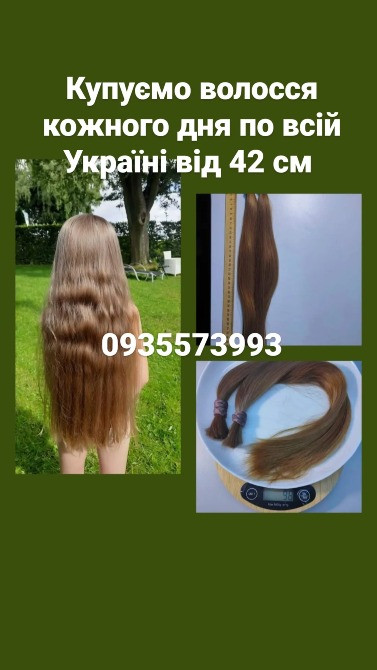 Продать волосы, продати волосся дорого по всій Україні від 42 см -0935573993 Киев - изображение 1