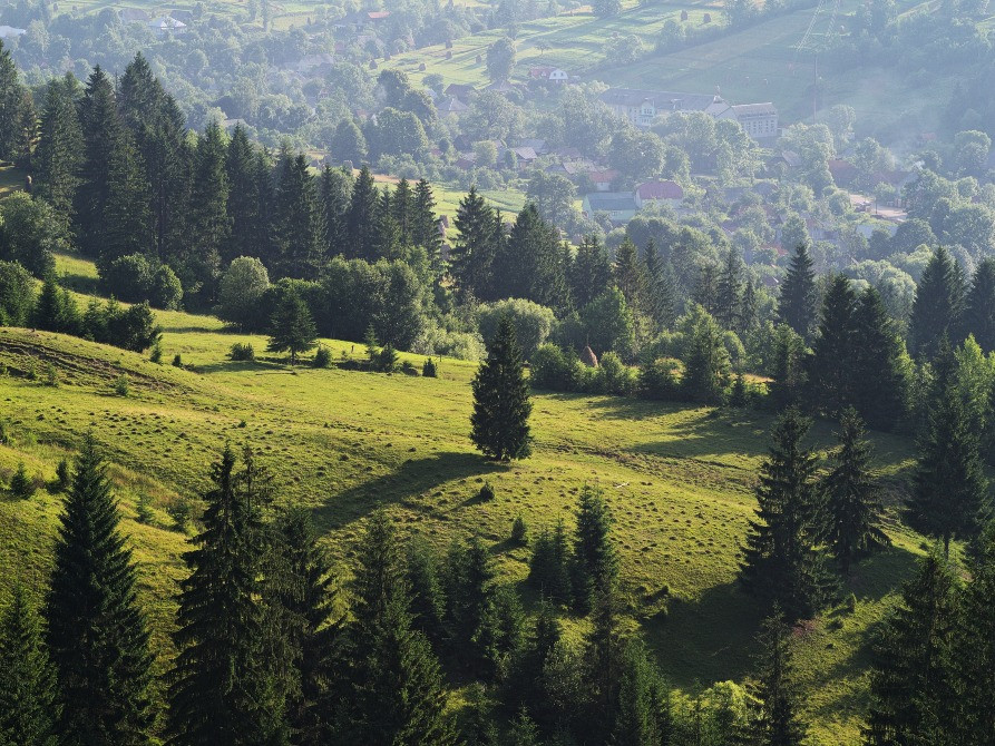 Інвест-проект: 80 соток у Солочині під розлив мінеральної води Ужгород - зображення 4