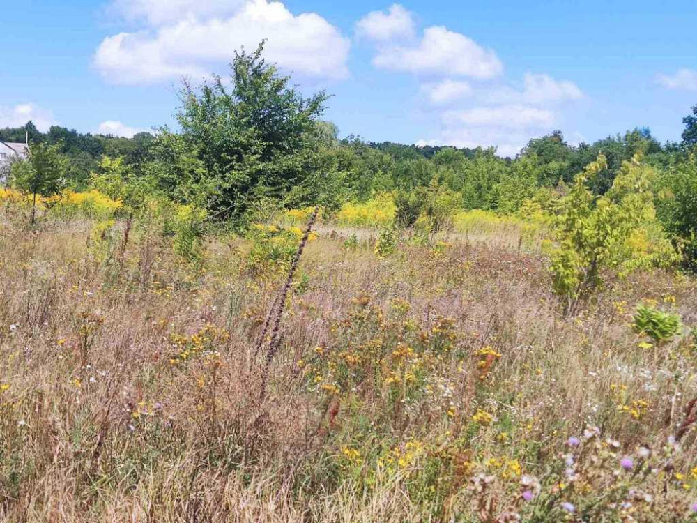 продажа участок под жилую застройку Богуславский, Богуслав, 6200 $ Богуслав - изображение 4