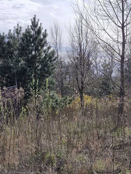 продажа участок под жилую застройку Обуховский, Романков, 120000 $  - изображение 8