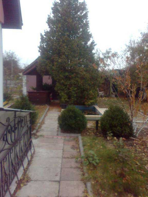 продажа 7-к дом Черкассы, Лозовок, 2749111 грн.  - зображення 4