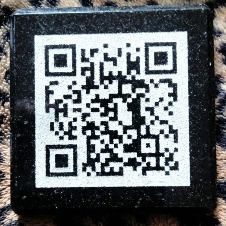 Виготовляємо QR-код на пам'ятник. Житомир - зображення 5