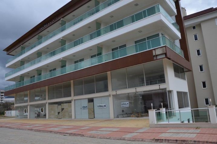 Коммерческая недвижимость в Алании, Турция Киев - изображение 2