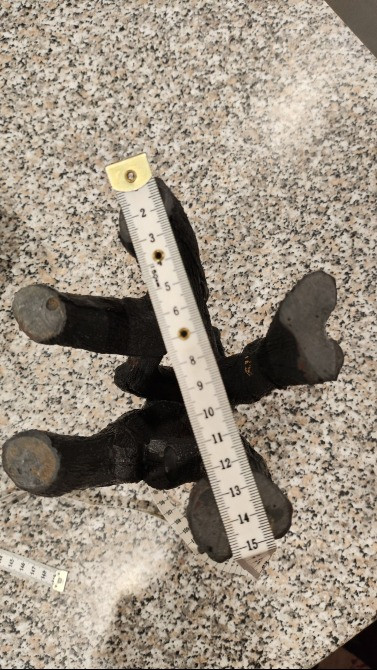 Коряга для аквариума террариума Харьков - изображение 3