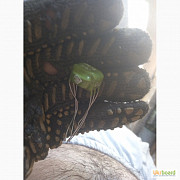 Трансформаторы ГХ4 720 024. ГХО 4720 06 импульсные , Харків