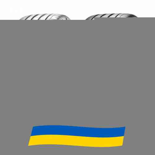 285/40 R21 Pirelli PZero (PZ4) 109Y Легкова шина Киев