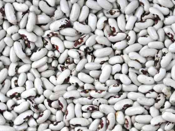 Продаж високоякісної квасолі з доставкою Ужгород