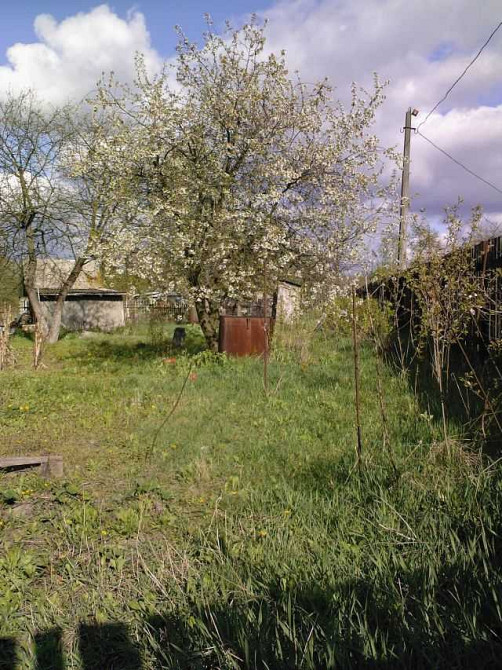 продажа 1-к дача Киев, Святошинский, 75000 $ Київ - зображення 4