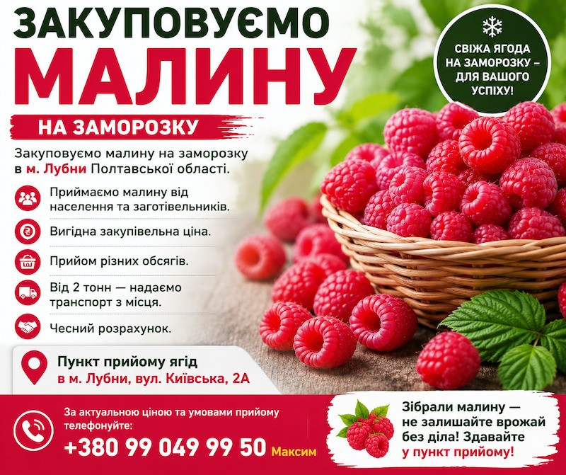 Закуповуємо малину на заморозку Сумы - изображение 1