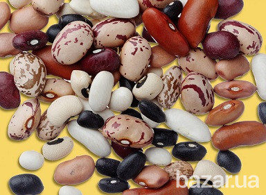 Сортовая фасоль с доставкой Полтава - зображення 1