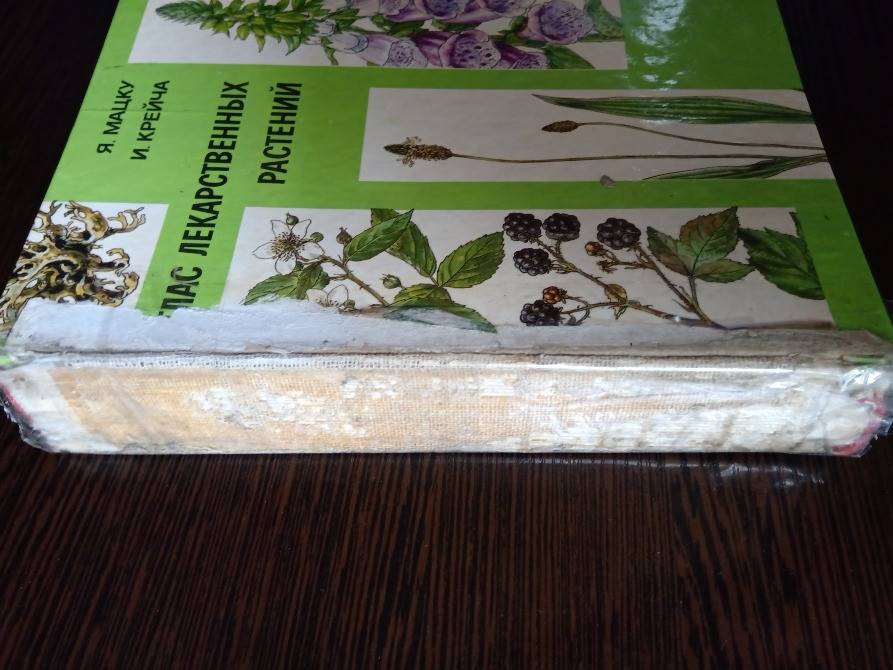 Книга: Лекарственные растения. Львов - изображение 2