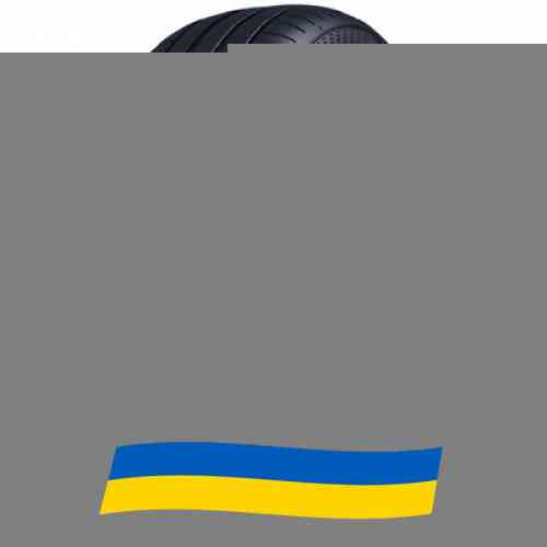 245/35 R21 Goodyear Eagle F1 Asymmetric 6 96Y Легкова шина Киев