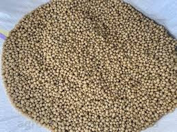 Куплю сою з полів, господарств, елеваторів Винница - изображение 1