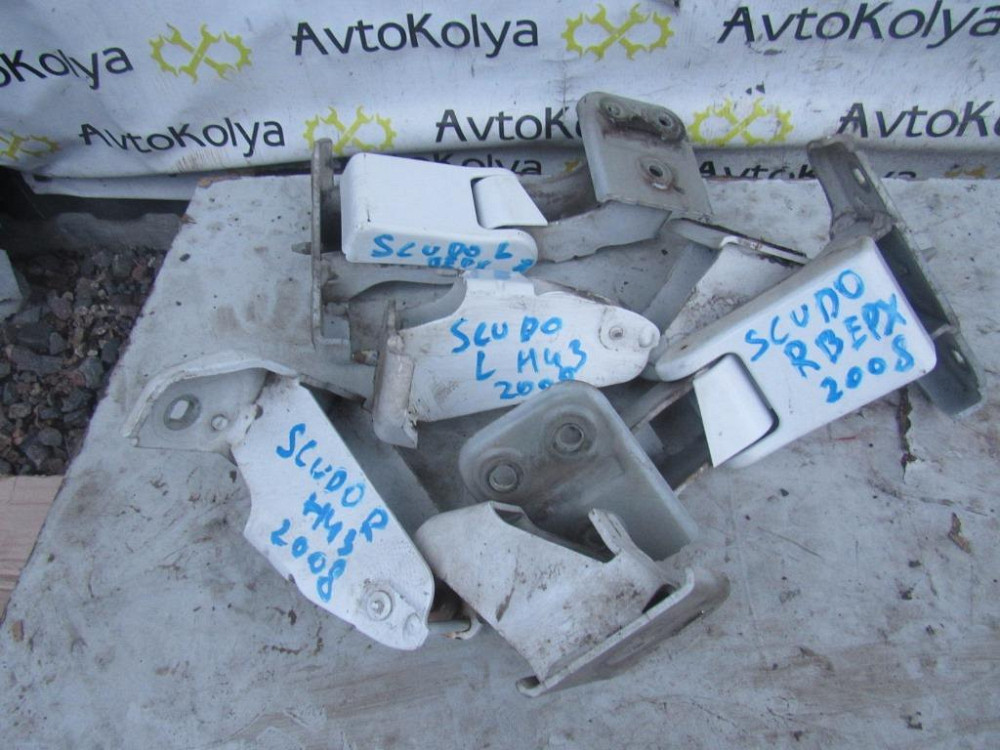 Петля задней двери Citroen Jumpy 2007-2016 (комплект) Ковель - зображення 1