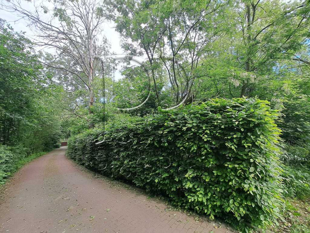 продажа участок под жилую застройку Обуховский, Креничи, 10000 $  - зображення 7