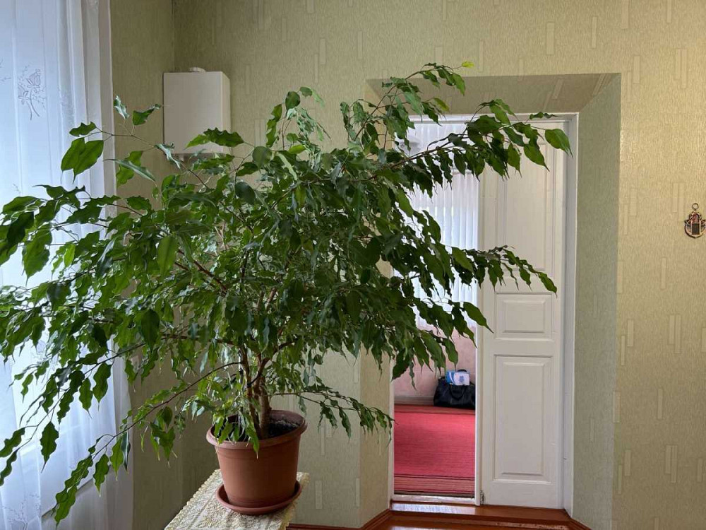 продажа 4-к дом Днепр, Новокодакский, 63000 $ Дніпро - зображення 4