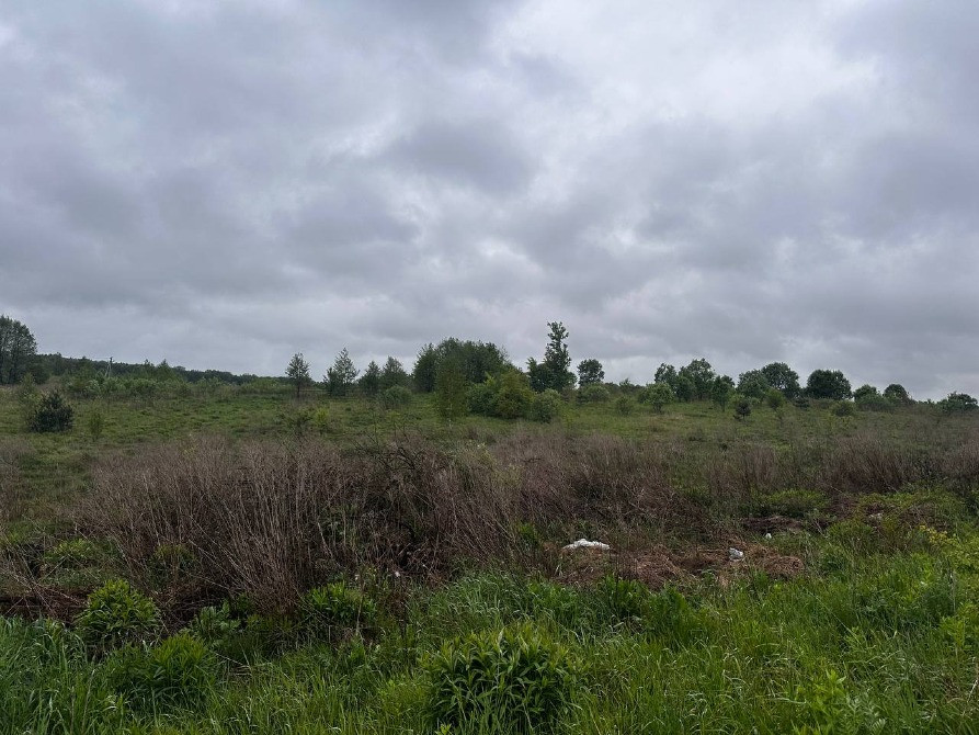 Продаж землі Зубра 12сот осг бічна Лесі Українки Львів - зображення 9