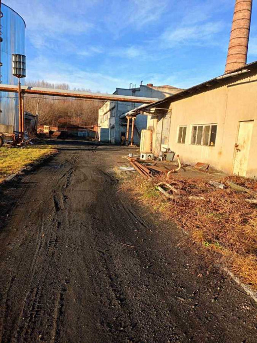 продажа производственные помещения Косовский, Стопчатов, 6500000 евро  - зображення 8