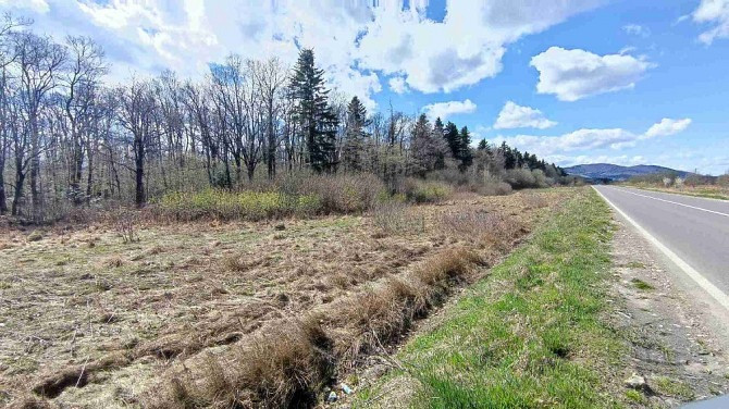 Земельна ділянка в Делятині 0.28 га Яремче - зображення 5