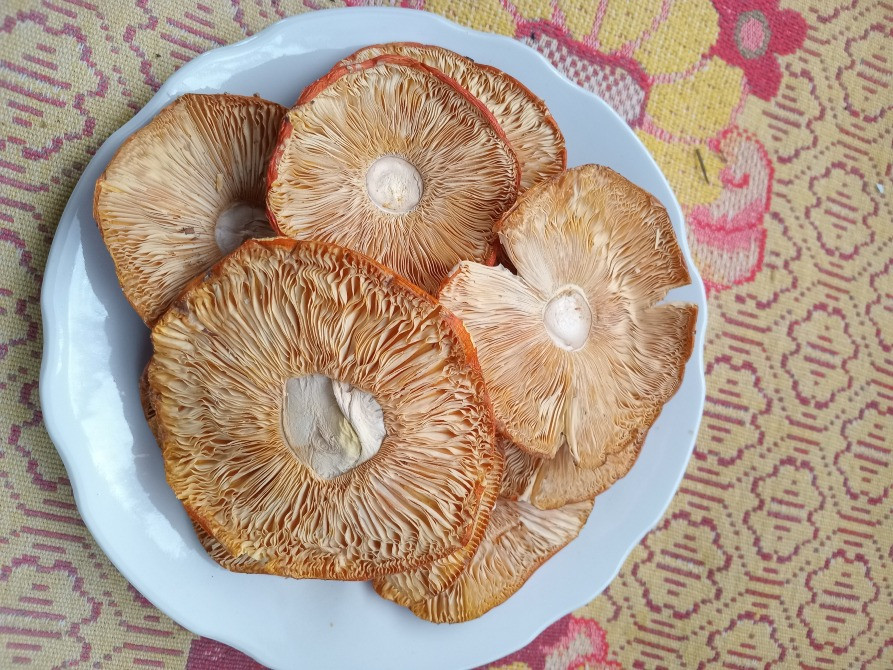 Шляпки червоного мухомора, 1 сорт. Овруч - изображение 6