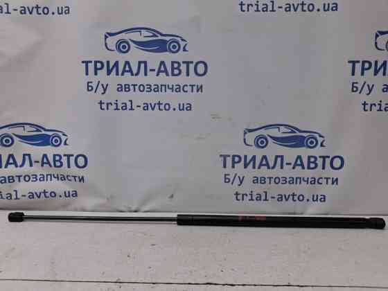 Амортизатор капота Ford Edge 2 2.0 БЕНЗИН ENR90 2015 (б/у) Київ