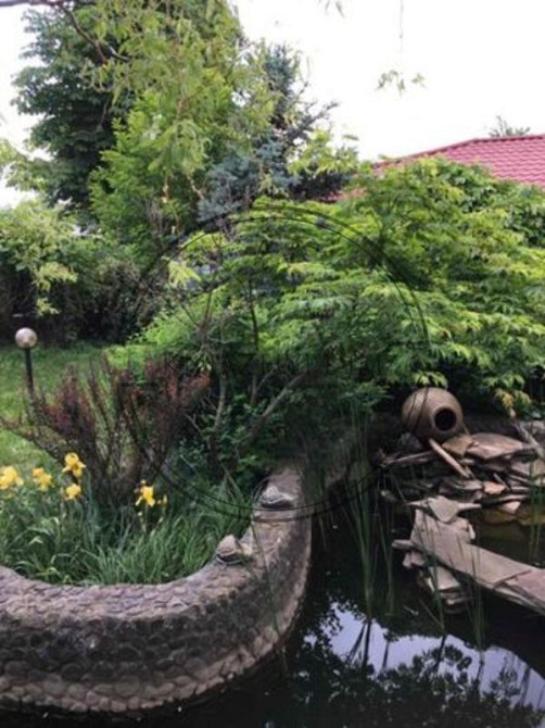 Аренда дома 400 кв.м. в Васильковском р-не Код объекта № 138679 Київ - зображення 10