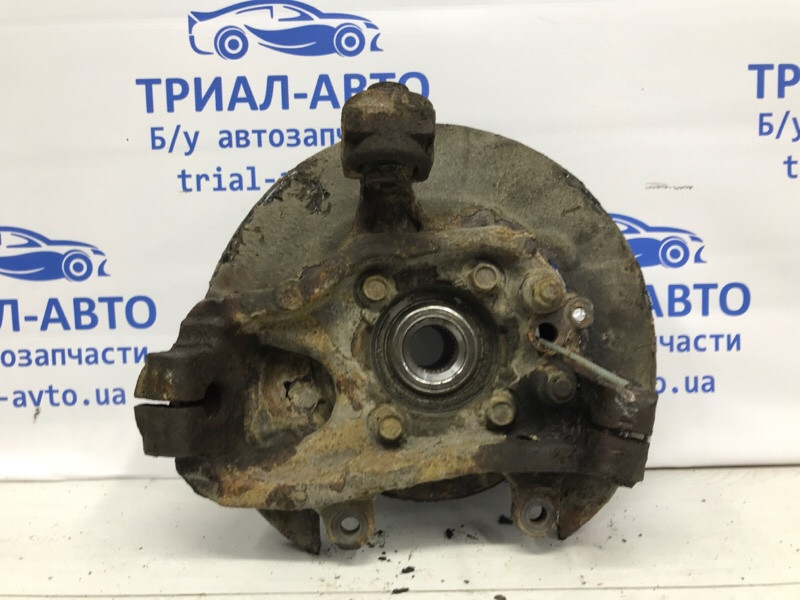 Цапфа задняя левая со ступицей Nissan Pathfinder R51 2.5 DIESEL YD25DDTI 2004 (б/у) Киев - изображение 1