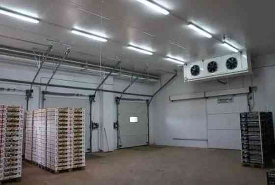 Холодильна камера Тривалого зберігання яєць (встановлення під ключ) Київ