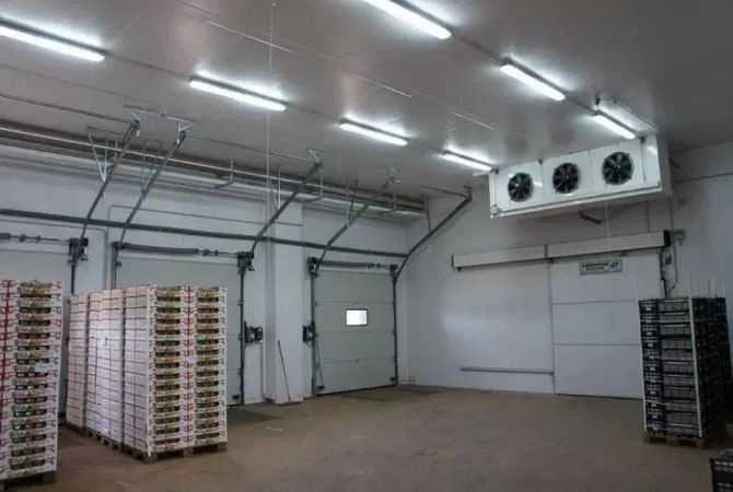 Холодильна камера Тривалого зберігання яєць (встановлення під ключ) Київ - зображення 2