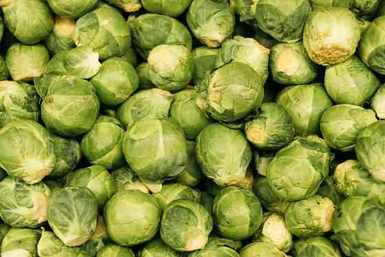 Селера, синя капуста, брюссельська капуста Львов