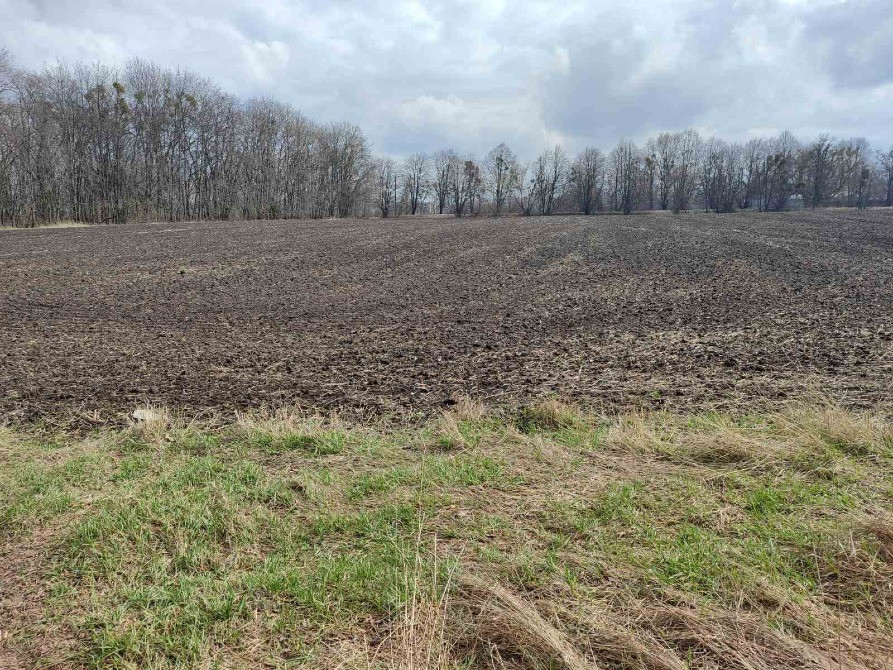 Продається земельна ділянка в мальовничому селі Пилипа! Белая Церковь - изображение 2