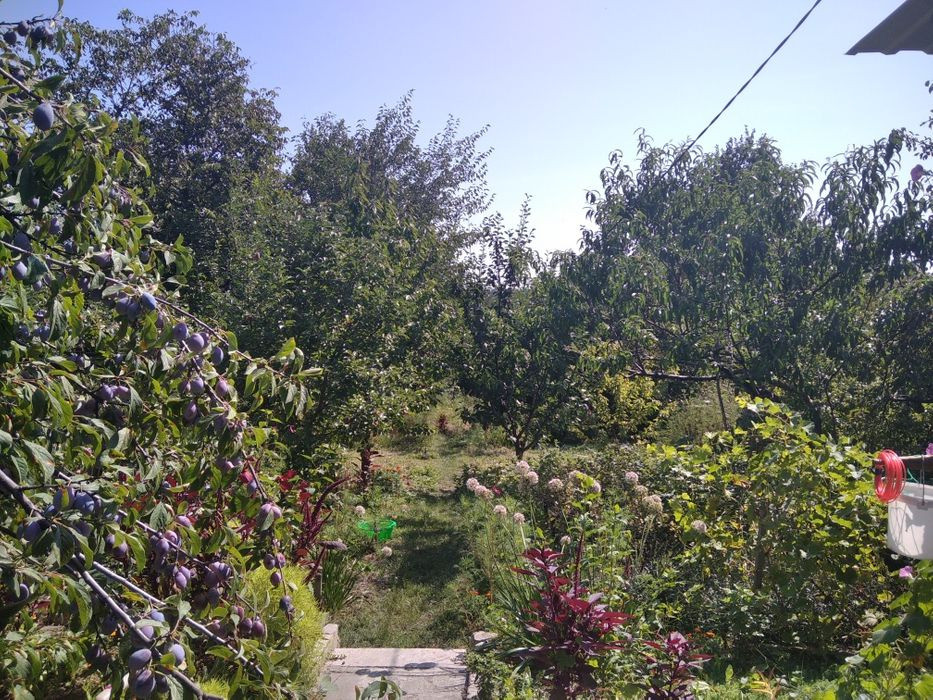 Продам. Дачу 20 м.кв. 6,7 сот. Шевченка. вул. Кадрова 2-Д. ДО "Самара" Днепр - изображение 5