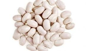 Закуповуємо квасолю для потреб виробництва Хмельницький - зображення 1