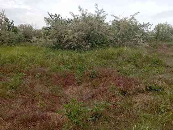 Участок в фонтанке возле церкви Одесса