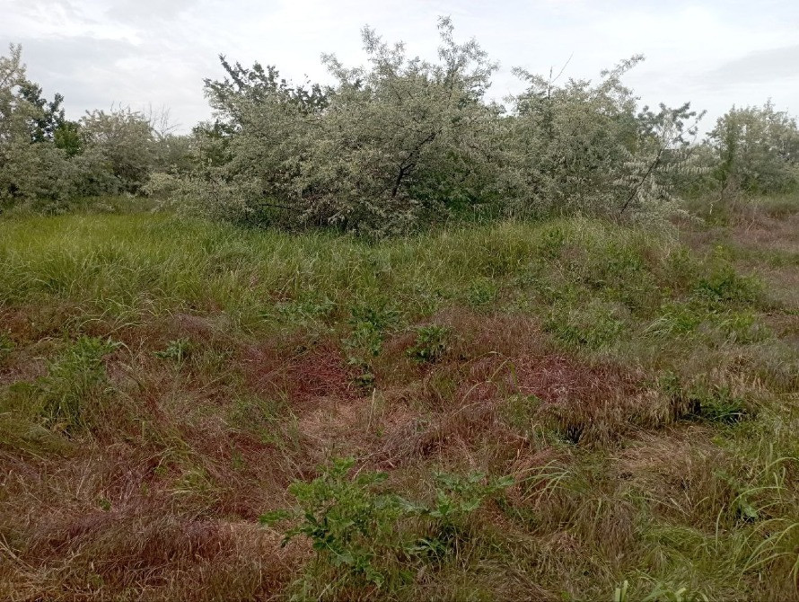 Участок в фонтанке возле церкви Одеса - зображення 1