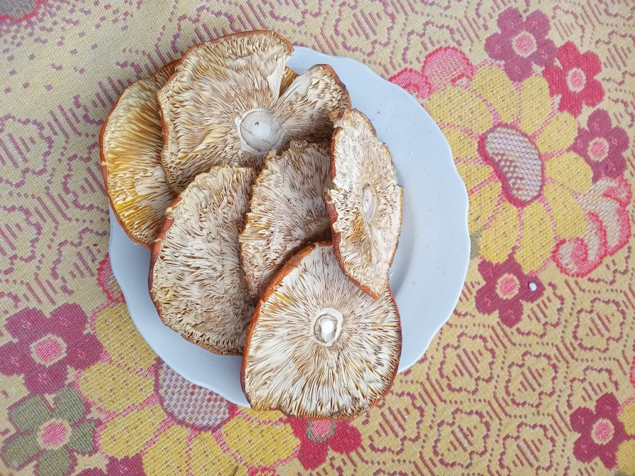 Червоний мухомор, сушений 2 сорт Овруч - изображение 4