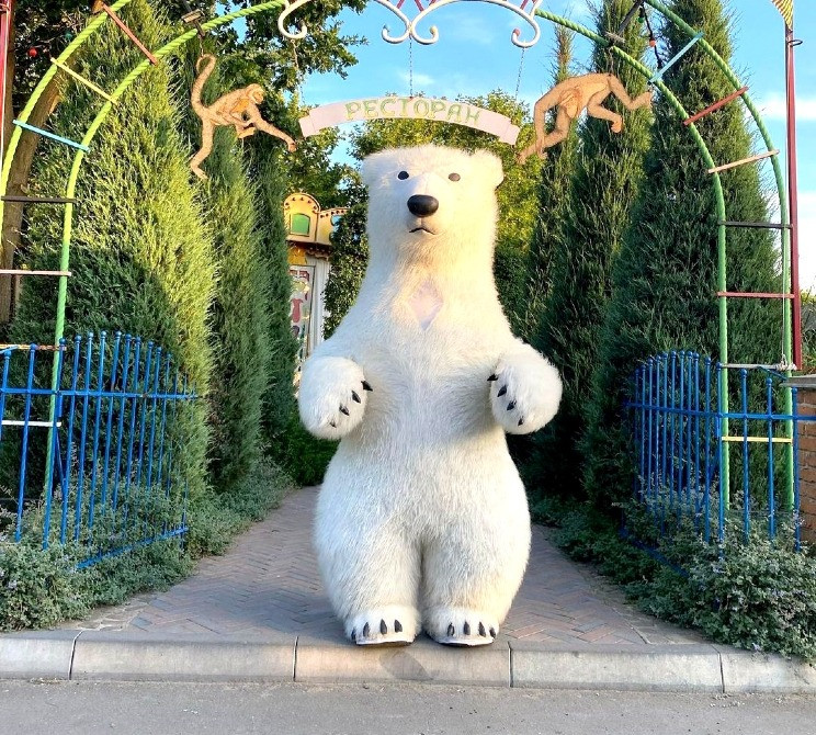 Белый медведь Ужгород заказать поздравление на вашу дату Ужгород - изображение 3