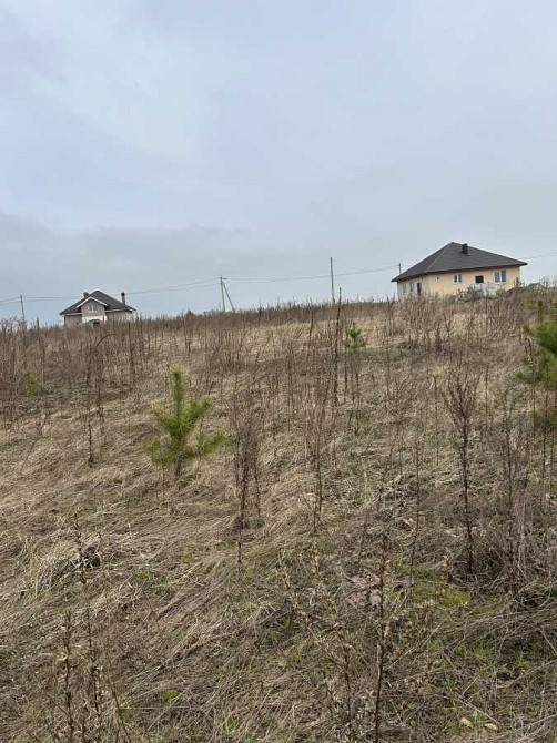 продажа участок под жилую застройку Броварский, Рожевка, 16000 $  - изображение 1