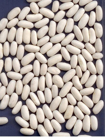 Переробник купує оптом білу квасолю оптом. Луцк - изображение 1