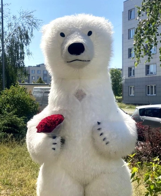 Белый медведь Шепетовка,Славута,Изяслав.Заказать мишку аниматора поздравление. Шепетовка - изображение 6