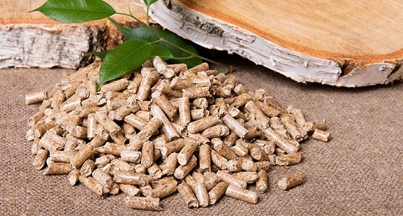 Реалізуємо Пеллети та Брикети з лушпиння, дерева, соломи. Житомир - зображення 1