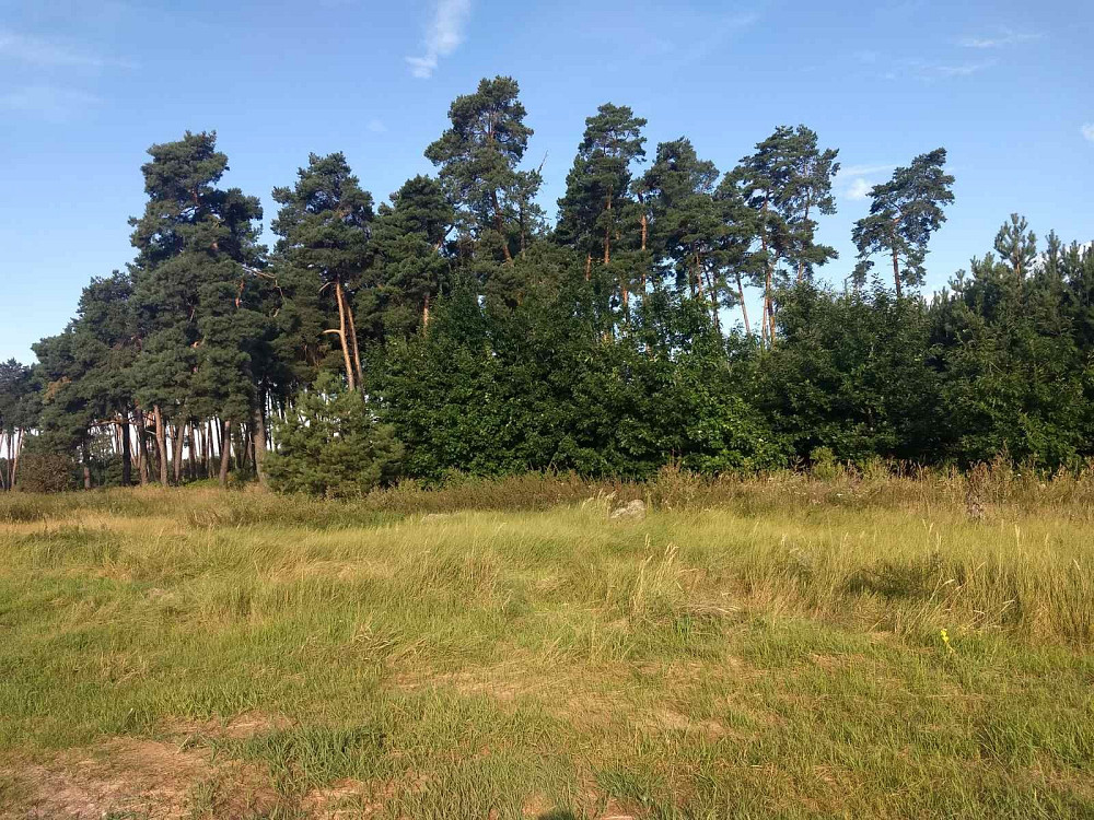 Земельна ділянка площею 0,5000 га в с. Дернівка Барышевка - изображение 8