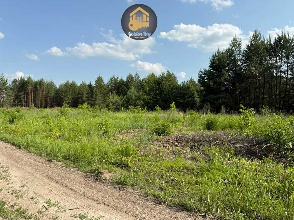 продажа земля сельскохозяйственного назначения Бориспольский, Гнедин, 90000 $  - изображение 6