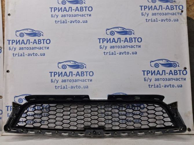 Решетка радиатора Chevrolet Captiva C140 2.2 DIESEL Z22D1 2006 (б/у) Київ - зображення 4