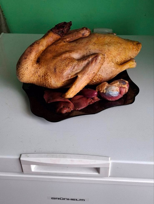 Продам тушки утей породи Мулард Кролевець - зображення 1