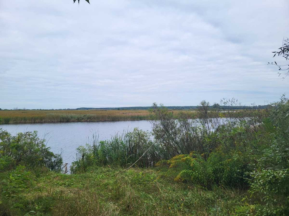 продажа земля сельскохозяйственного назначения Бориспольский, Вороньков, 958800 грн.  - изображение 3