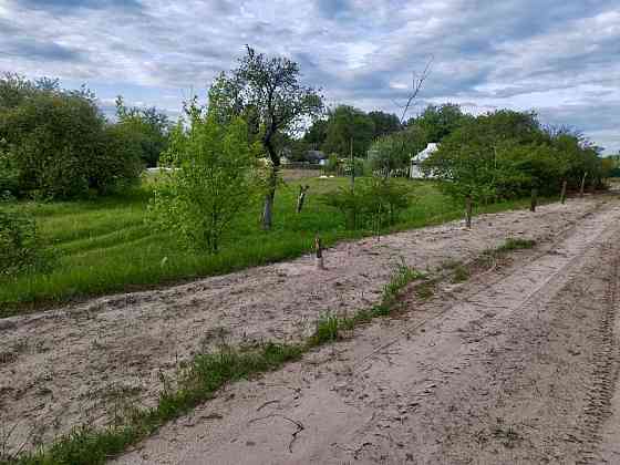 продажа земля сельскохозяйственного назначения Вышгородский, Жукин, 15400 $ 