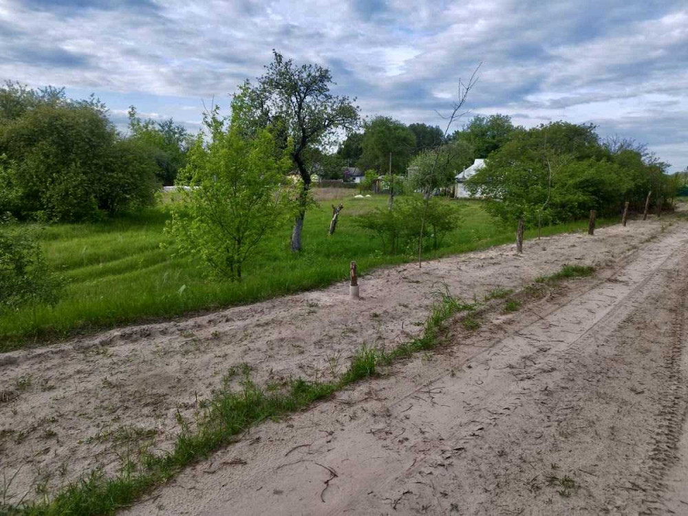 продажа земля сельскохозяйственного назначения Вышгородский, Жукин, 15400 $  - изображение 5