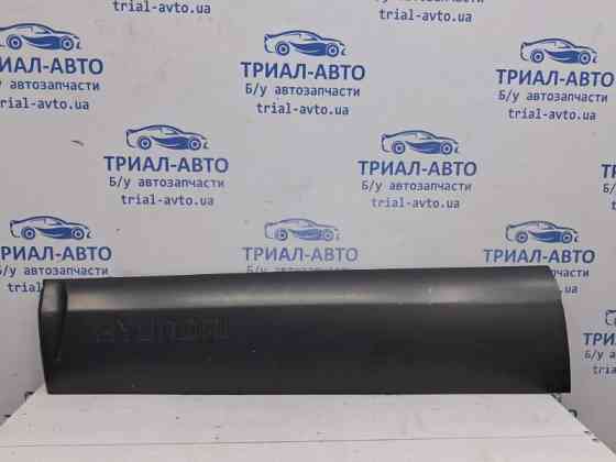 Накладка двери Hyundai Tucson 2004-2009 877212E000 (Арт. 62664) Київ
