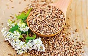 Зерно гречки, гречиха, гречка Суми - зображення 1